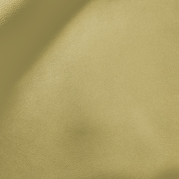 Atlanta Leatherette Gold